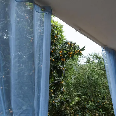 Apartment Olive Ipsos