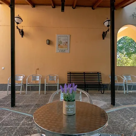 Olive Apartamento Ipsos