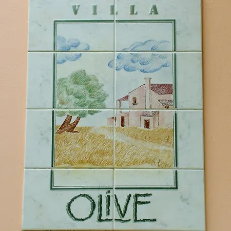 Olive 阿普索斯