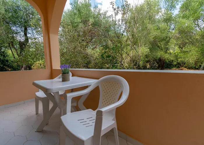 Olive Apartamento