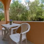 Olive Apartment